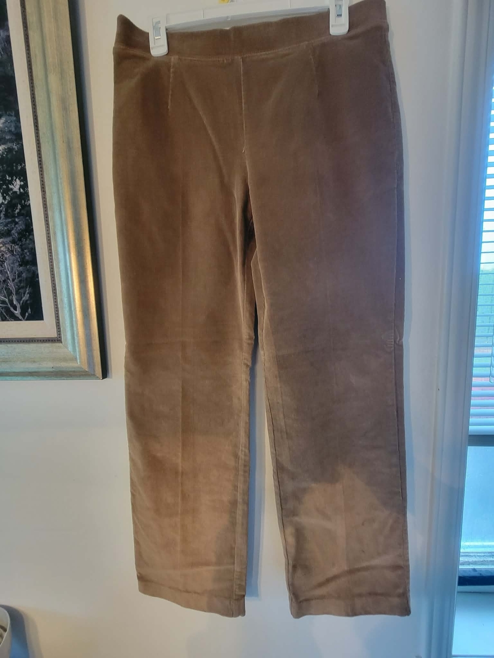 Women's Brown Velour Comfort Pants